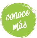 conoce mas